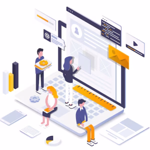 Custom Website Development Plan